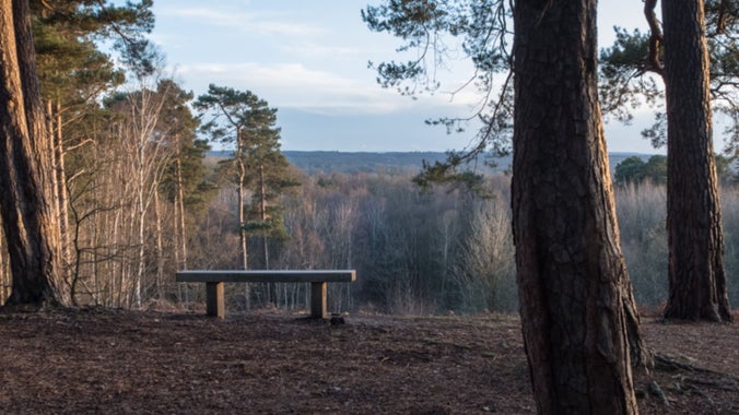 Picture of bench with views of landscape at Finchampstead Ridges
